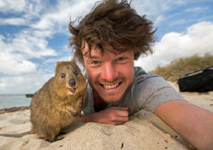 This man`s adventurous animal selfies are making hearts explode - PHOTOS